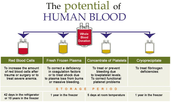 The potential human blood components